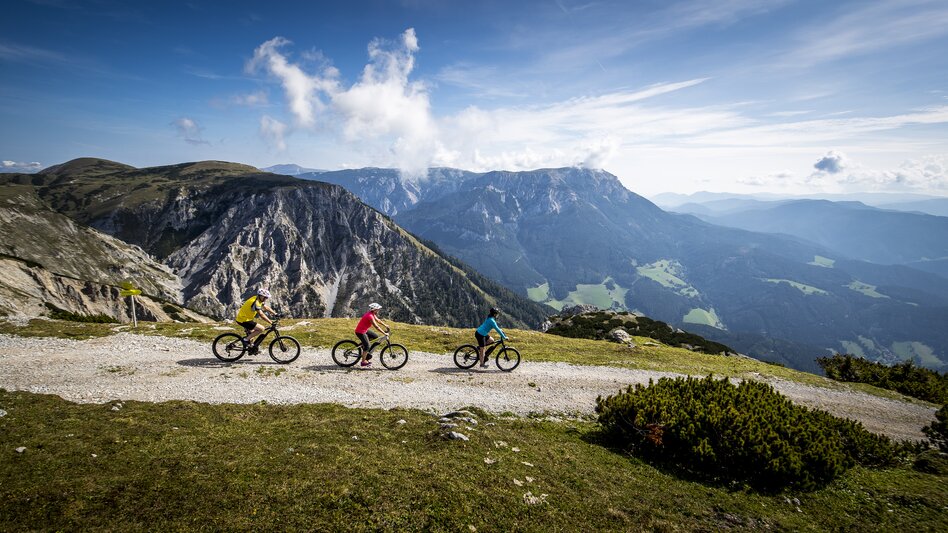 Eine Familie fährt mit ihren E-Bikes die Alm hinunter, im Hintergrund eine traumhafte Bergkulisses