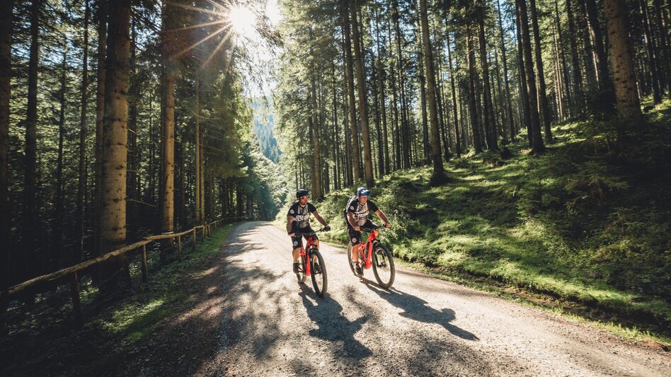 Zwei Männer fahren mit ihren E-Bikes entlang einer Forststraße.  durch den Wald, 