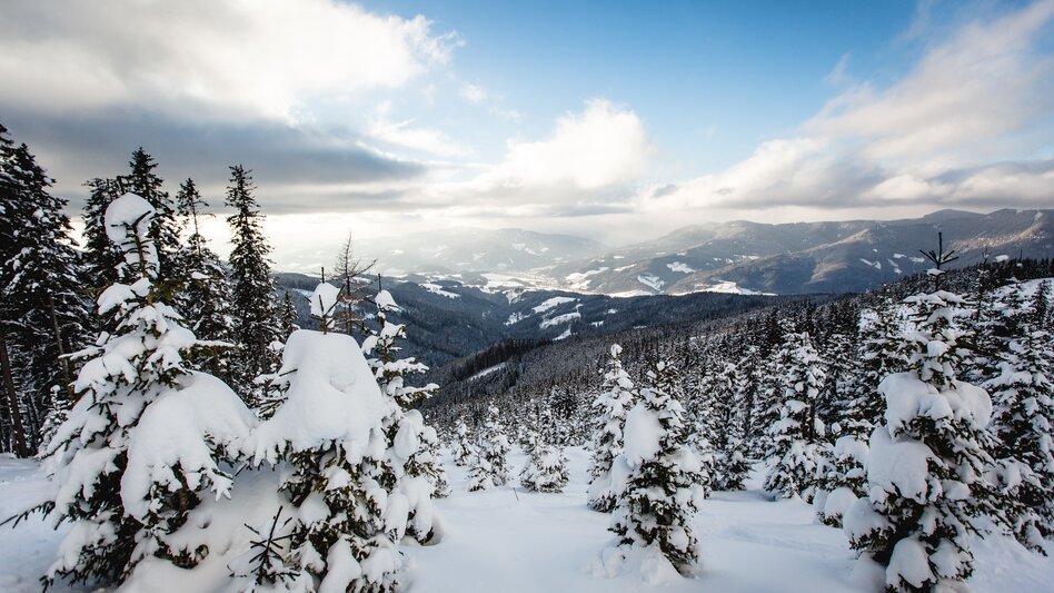 Verschneite Winterlandschaft im Wald mit Blick aufs Tal