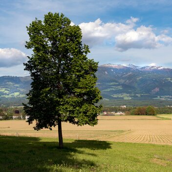 Speikkogel | © Sonja Birkelbach-adobe.stock.com | Sonja Birkelbach