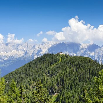 Blick auf Hochwurzenhütte und Dachstein | © STG | Günther Steininger