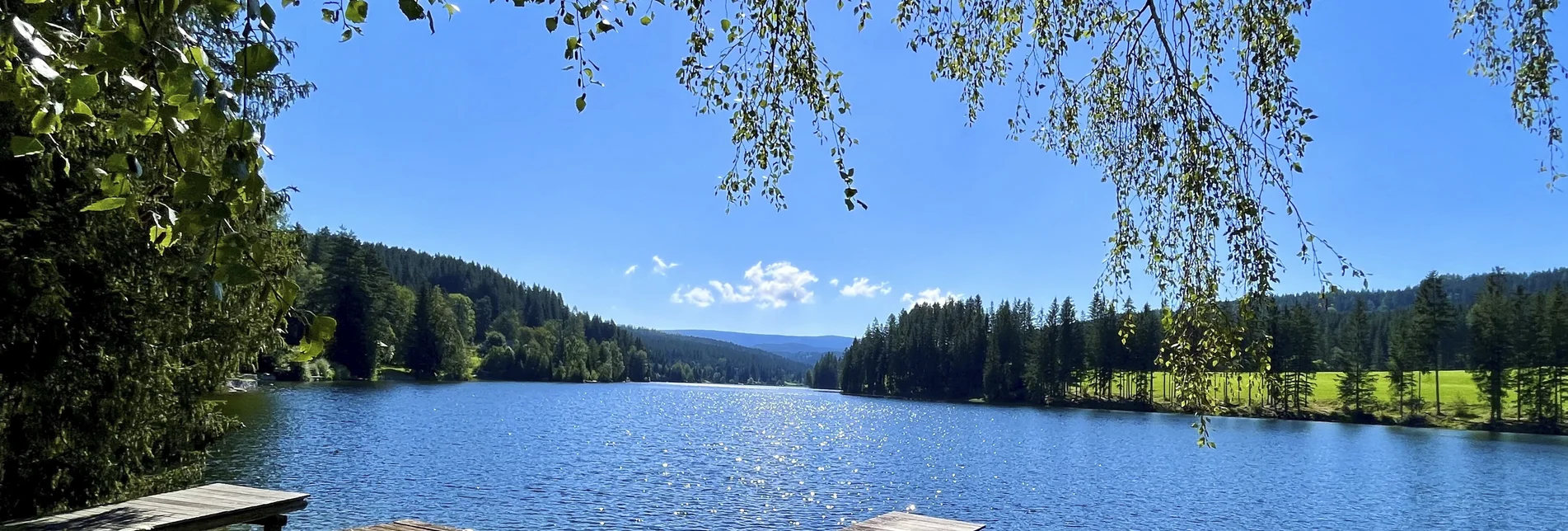 Ein Sommertag am Packer Stausee | © Steirerkrone | Christoph Hartner