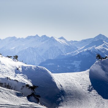 Auf der Tauplitzalm | © STG | Tom Lamm