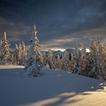 Planai | © STG | photo-austria.at