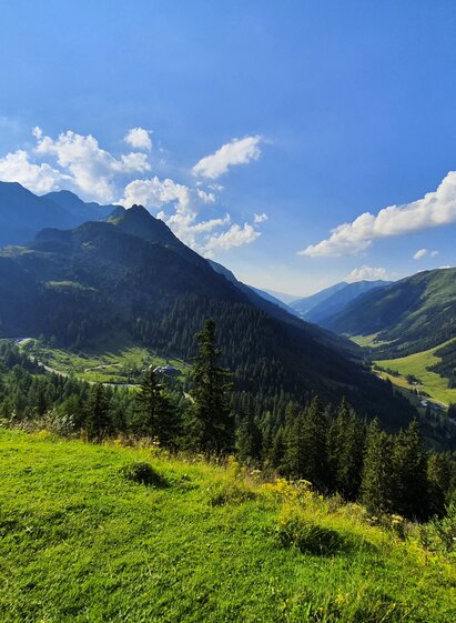 Almerlebnis auf der Eselsberger Alm (bei Oberwölz-Lachtal)