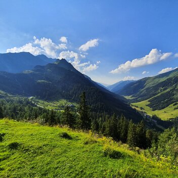 Almerlebnis auf der Eselsberger Alm (bei Oberwölz-Lachtal) | © STG | Günther Steininger