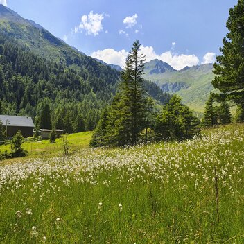 Eselsberger Alm (bei Oberwölz-Lachtal) | © STG | Günther Steininger