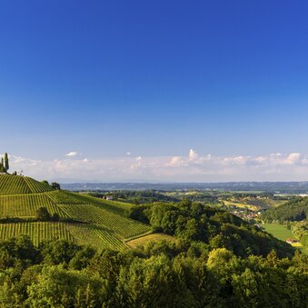 Southern Styria | © Steiermark Tourismus | Harry Schiffer