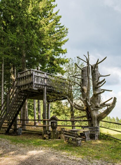 Aussichtsplattform-Ansicht3-Murtal-Steiermark | Anita Fössl | © Anita Fössl