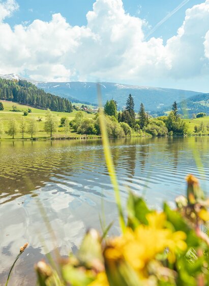 Badesee Mühlen | René Hochegger | © Tourismusverband Murau