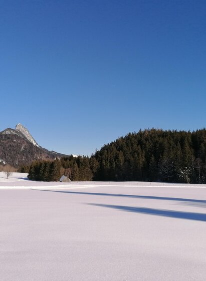 Spechtenseeloipe in traumhafter Naturkulisse | © Barbara Luidold/Erlebnisregion Schladming-Dachstein