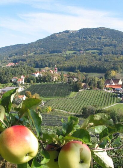 apple_street_location_view_eastern_styria | Walter Schneider | © Tourismusverband Oststeiermark