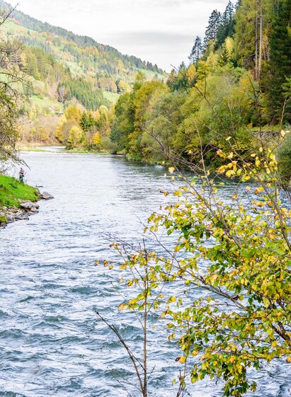 Fischen in der Mur | René Hochegger | © Tourismusverband Murau