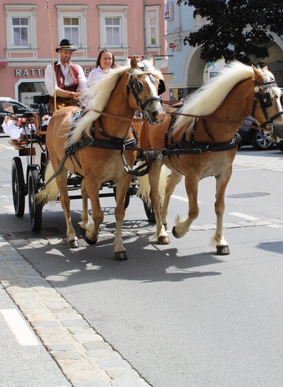 Kutsche-Jdbg-Murtal-Steiermark | Katschnig | © Katschnig