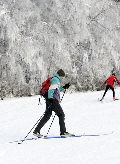 Jogllandloipe_Langläufer_Oststeiermark | Gery Wolf | © Gerry Wolf