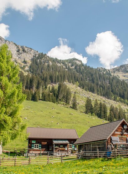 Kink Hütte auf der Hinteregger Alm | © Christian Scheucher