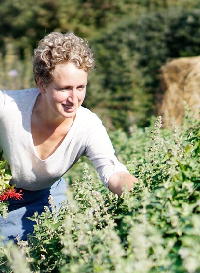 Sabine Lienhart harvesting herbs | © Sabine Lienhart