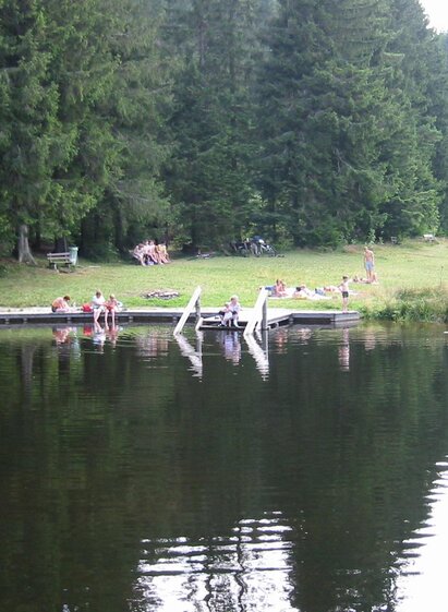 Natural swimming pond Rettenegg_Pond_Eastern Styria | Gemeinde Rettenegg | © Naturbadeteich Rettenegg