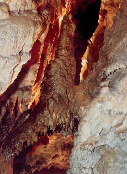 Der Auerhahn in der Rettenwandhöhle | © Fritz Bayerl