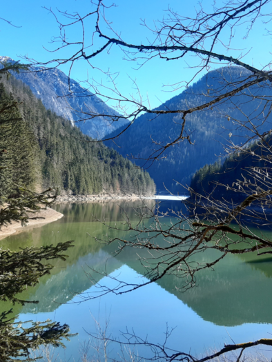 <p>The tranquil Salza reservoir, surrounded by tall trees and majestic mountains of the Ausseerland. The clear sky reflects in the water.</p> | © Daniela Casari