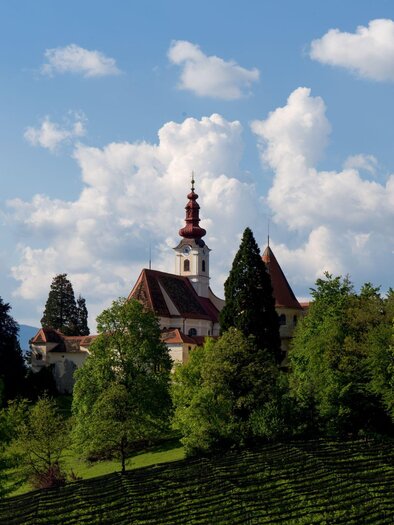A picturesque church surrounded by green trees and vineyards. The sky is clear with some white clouds. | © Federico Felini