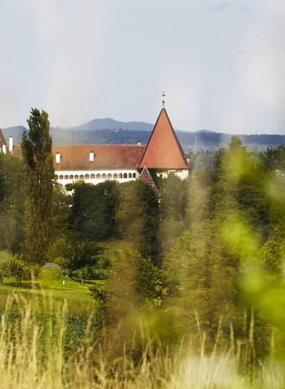 Schloss Spielfeld inmitten der Natur | Manfred Donauer | © Manfred Donauer