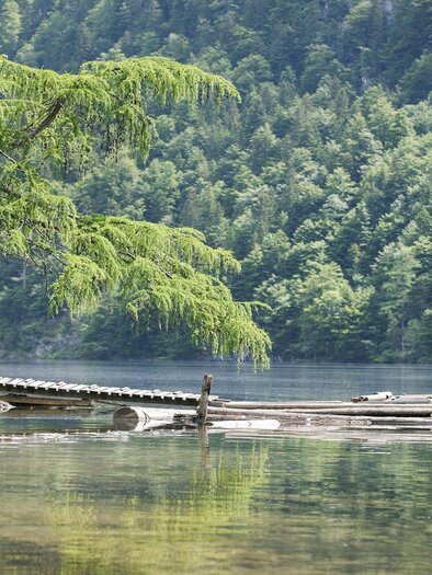 Toplitzsee, Grundlsee, Idylle pur | © Schifffahrt Grundlsee/Eisenberger