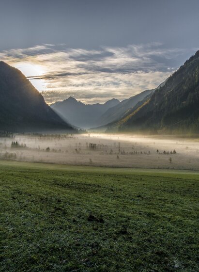 Tettermoor | Gerhard Pilz | © Gerhard Pilz