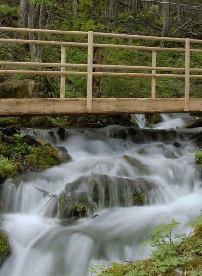 Weg zum Pöllauer Ursprung | Gerda Kasparec | © Tourismusverband Murau