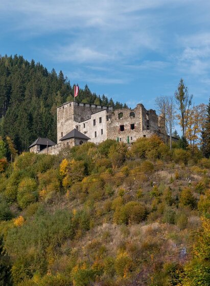 wandern-lichtenegg-herbst©schrotthofer-548 | © TV SWV