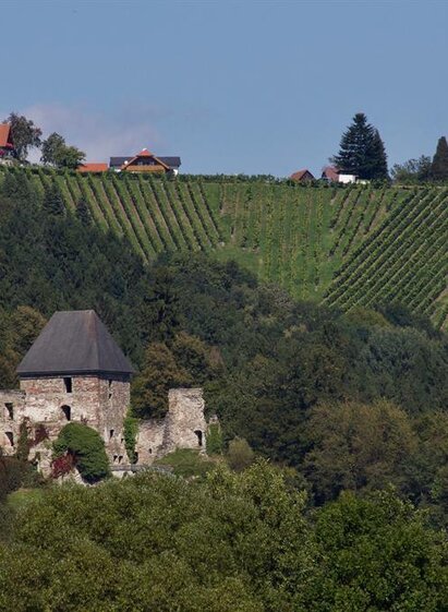 Burgruine Ligist | © Rainer M. Fürstaller