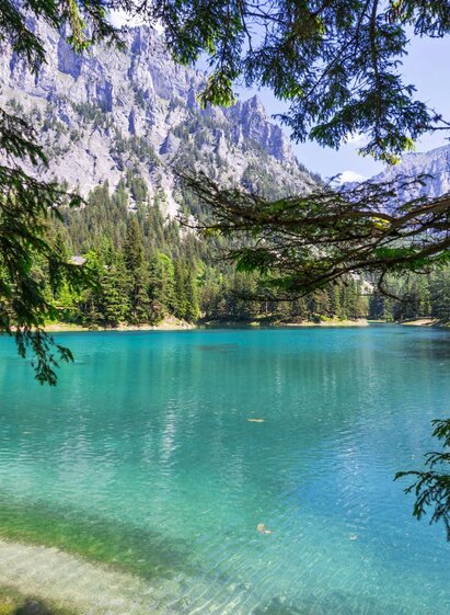 Grüner See