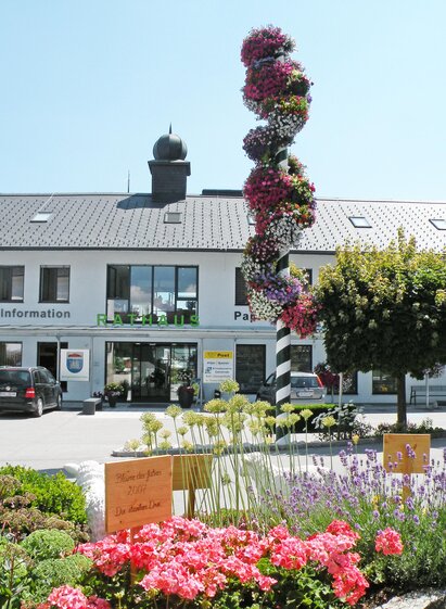 Rathaus mit Tourismusbüro | © Marktgemeinde Haus
