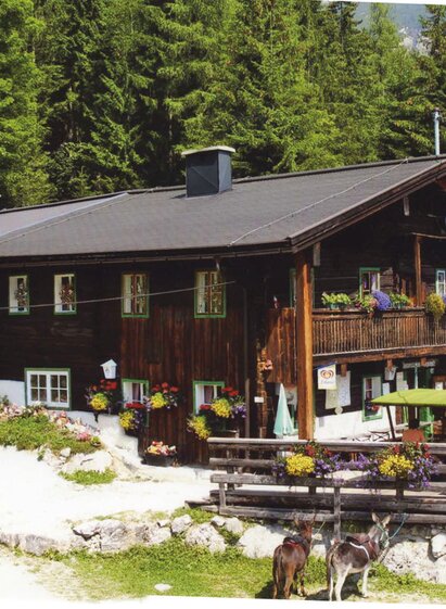 Jausenstation Fliegenpilz mit Sonnenterasse. | © Fliegenpilz
