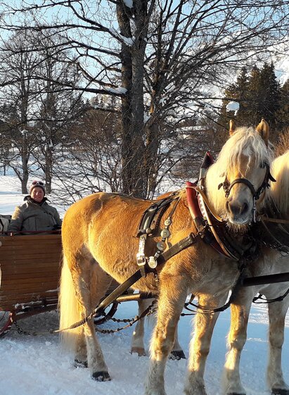 Pferdeschlittenfahrt im Schnee | © Kielerhof